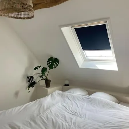 Cosy Et Lumineux Au Coeur De Montreuil Appartement Montreuil (Pas-de-Calais)