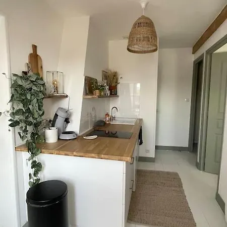 Cosy Et Lumineux Au Coeur De Montreuil Διαμέρισμα Montreuil (Pas-de-Calais)