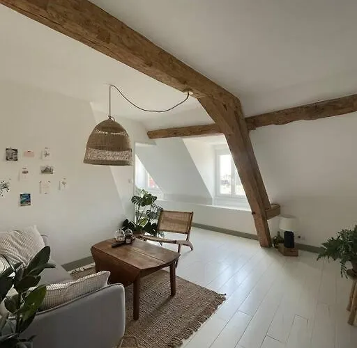 Cosy Et Lumineux Au Cœur De Montreuil Appartement