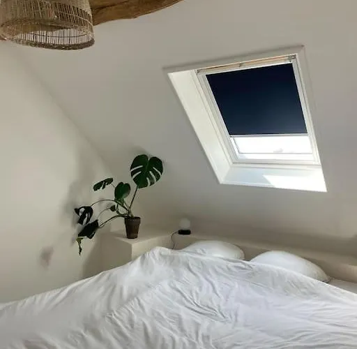 Cosy Et Lumineux Au Cœur De Montreuil Appartement Montreuil (Pas-de-Calais)