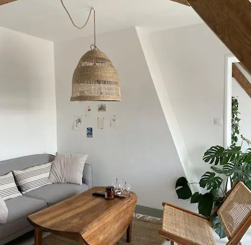 Cosy Et Lumineux Au Cœur De Montreuil *