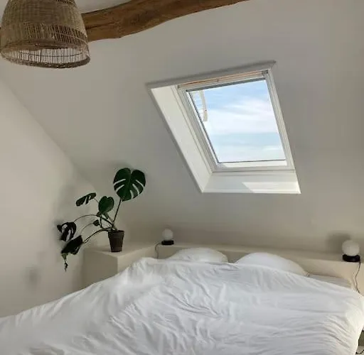 Cosy Et Lumineux Au Cœur De Montreuil Montreuil (Pas-de-Calais)